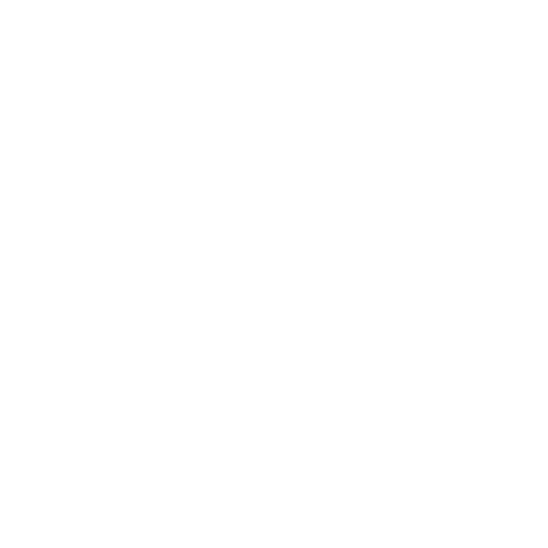 metro_w